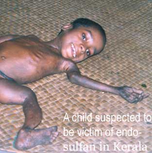 Endosulfan victim