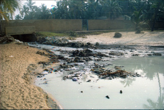 Effluents being let out into sea by TTP in Trivandrum